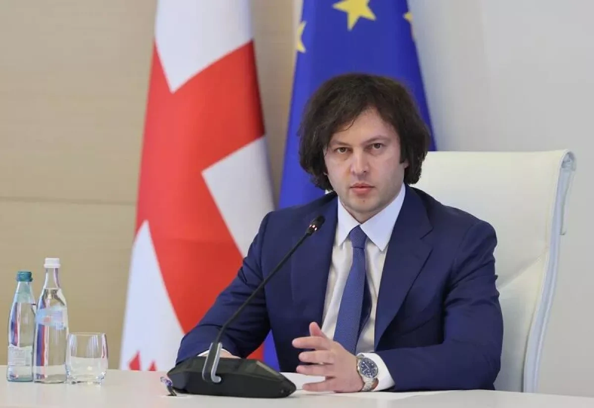 Georgian PM calls opposition protests “defunct”