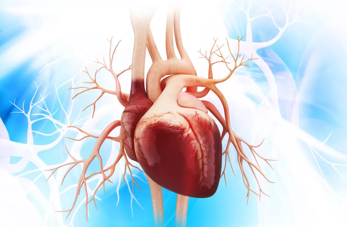 Era of hope: Azerbaijani surgeon performs first deceased-donor heart transplant Professor Musayev speaks to Caliber.Az