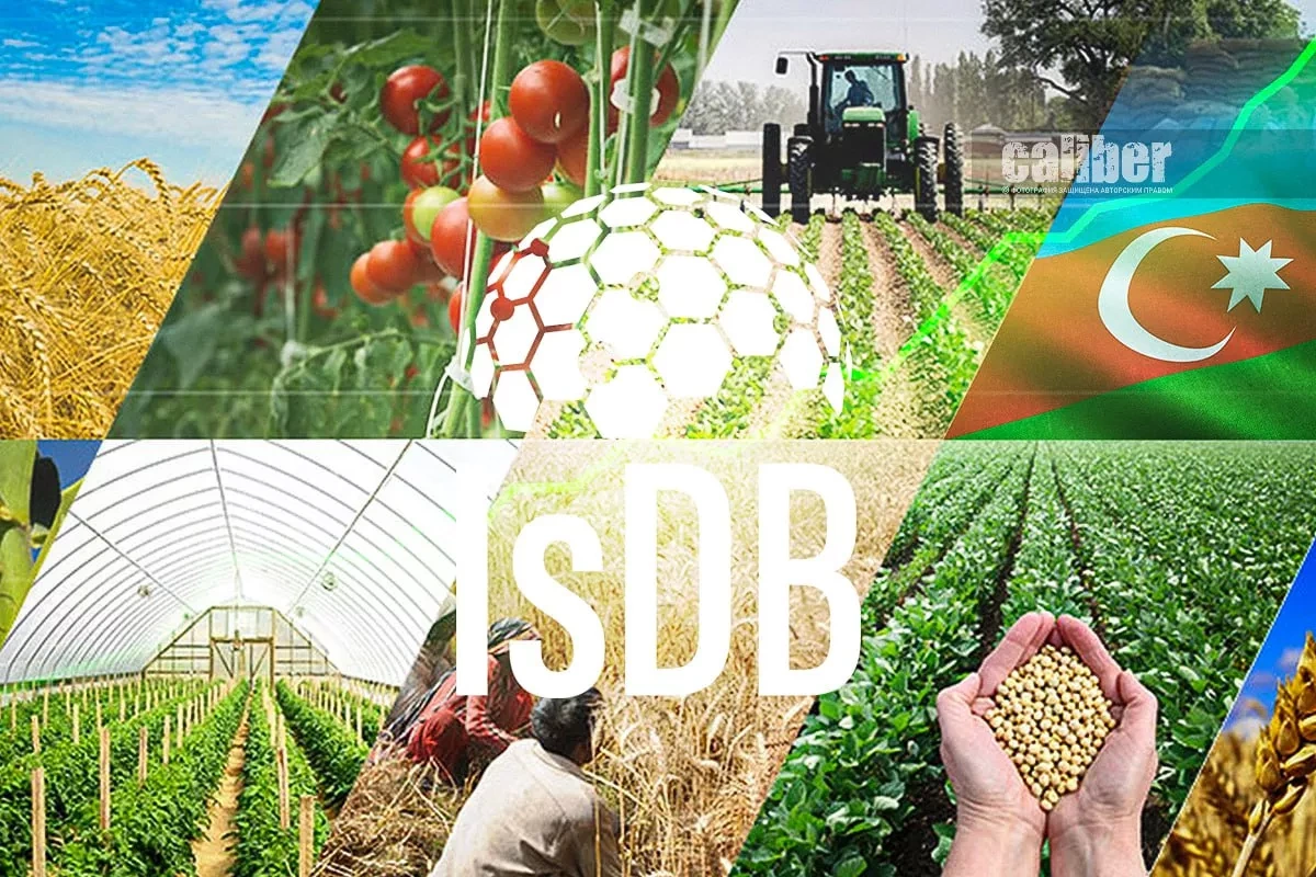 IsDB invests in agriculture: $436 million boost for Azerbaijan’s farms Caliber.Az review