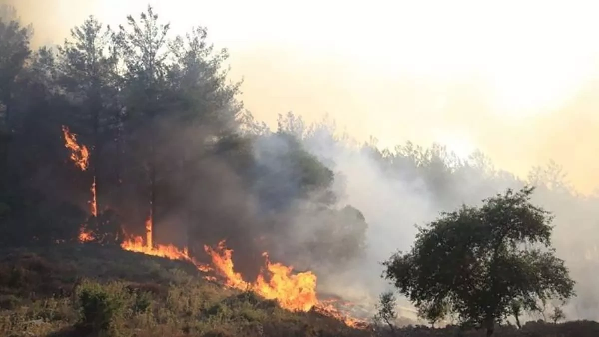 Spain’s Andalusia battles massive wildfire as over 600 join fight VIDEO