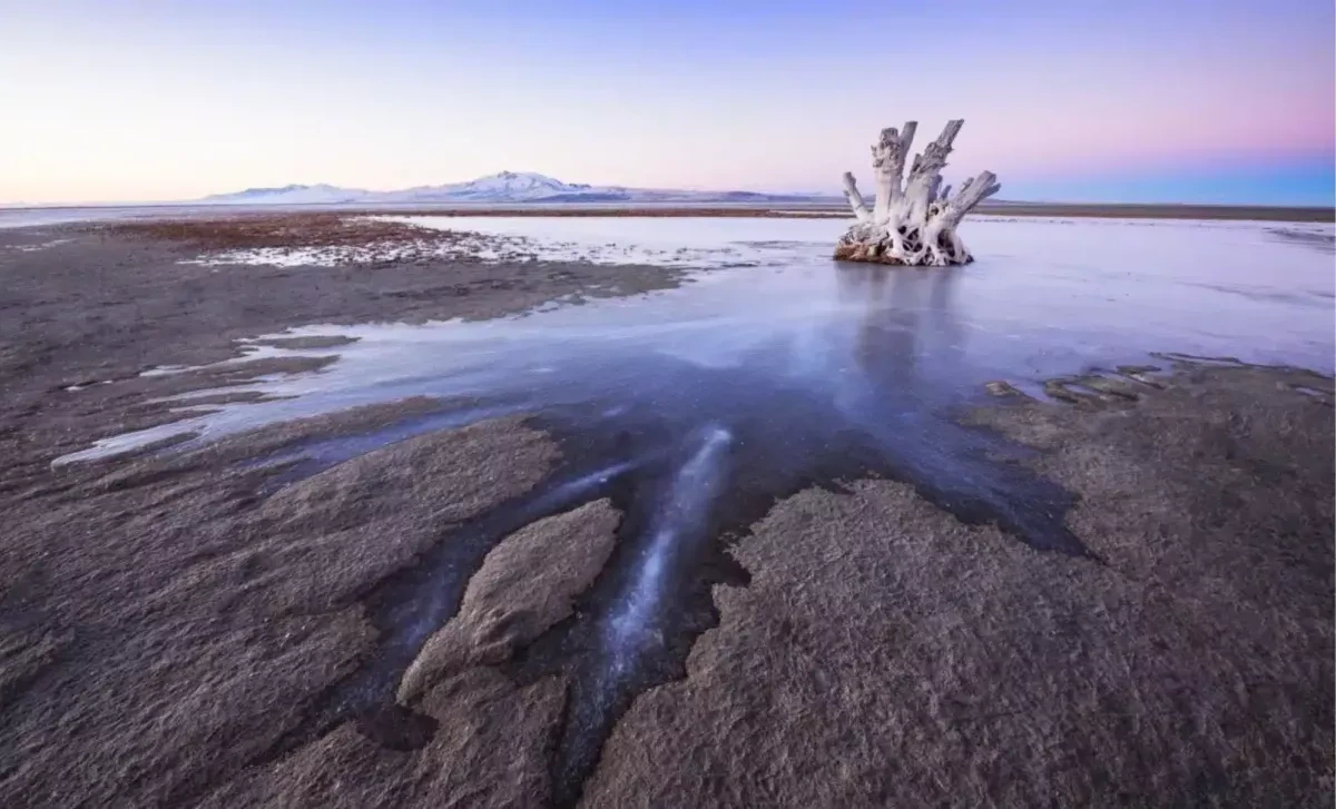 Scientists discover life in environment long thought to be too hostile to thrive VIDEO
