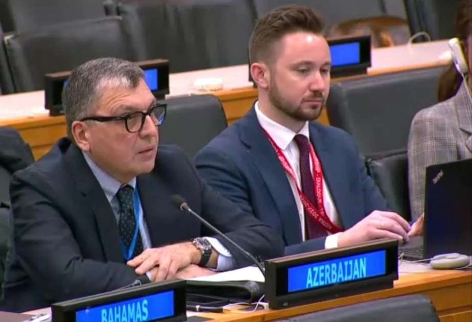 Azerbaijan supports idea of increasing African countries' representation in UN Security Council - Tofig Musayev