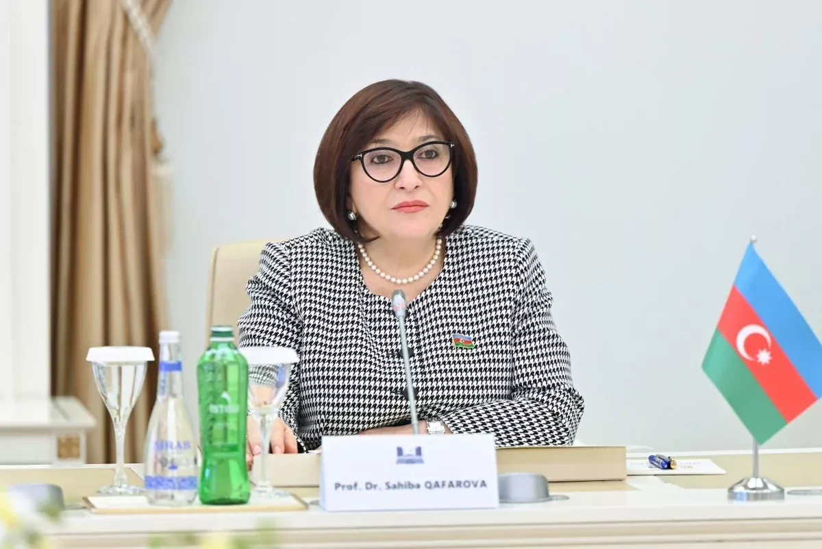 Azerbaijani parliament speaker backs expanded dialogue with Türkiye, Northern Cyprus PHOTO