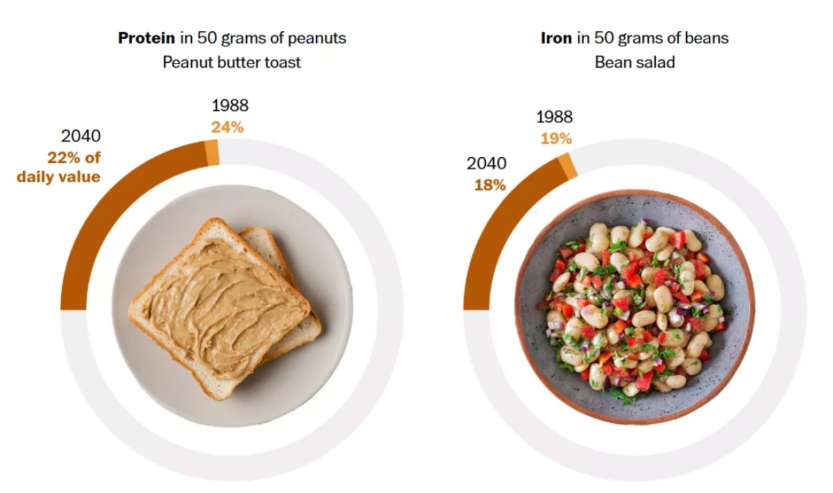 Hunger threat grows worldwide as climate change alters food quality