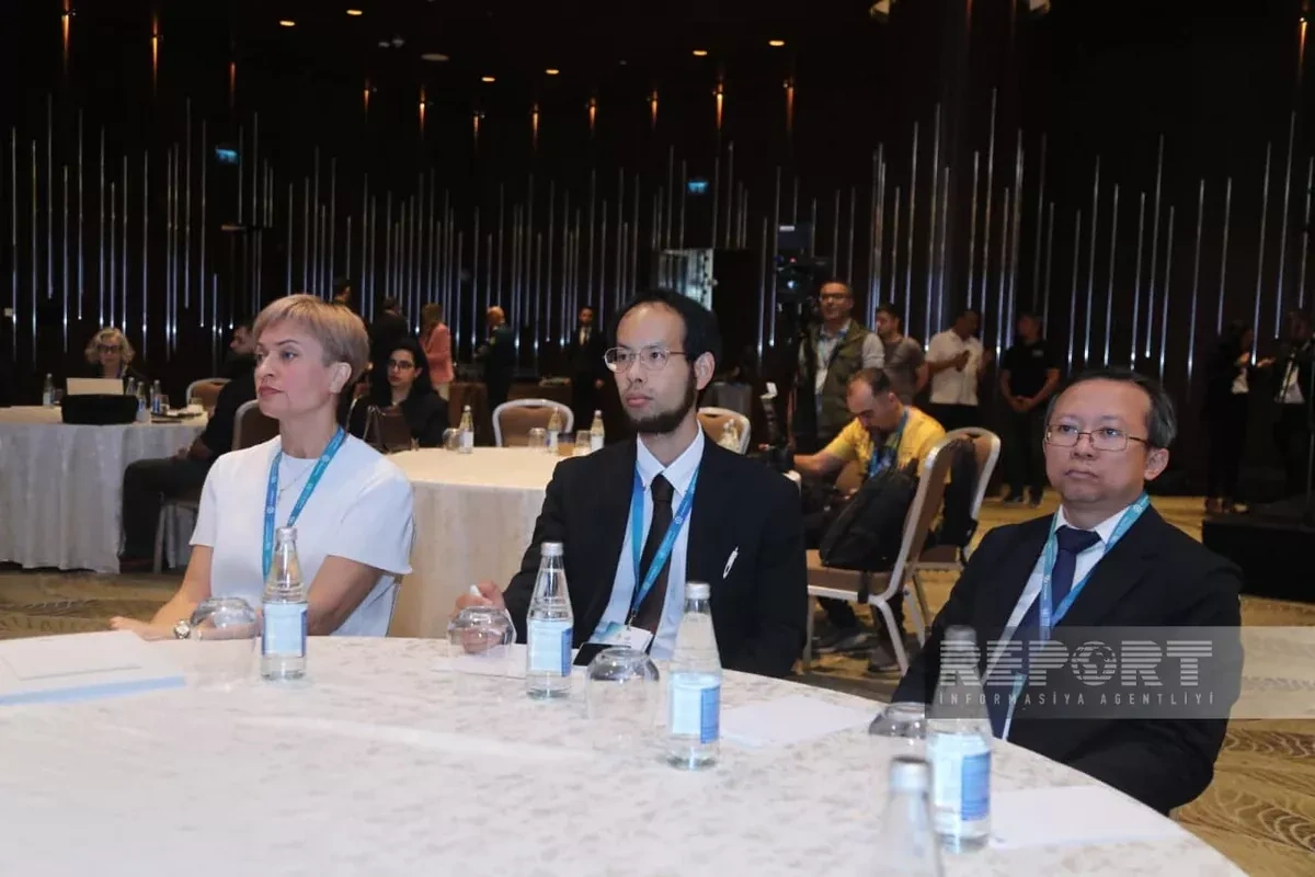 Baku hosts second day of global mine action conference PHOTO