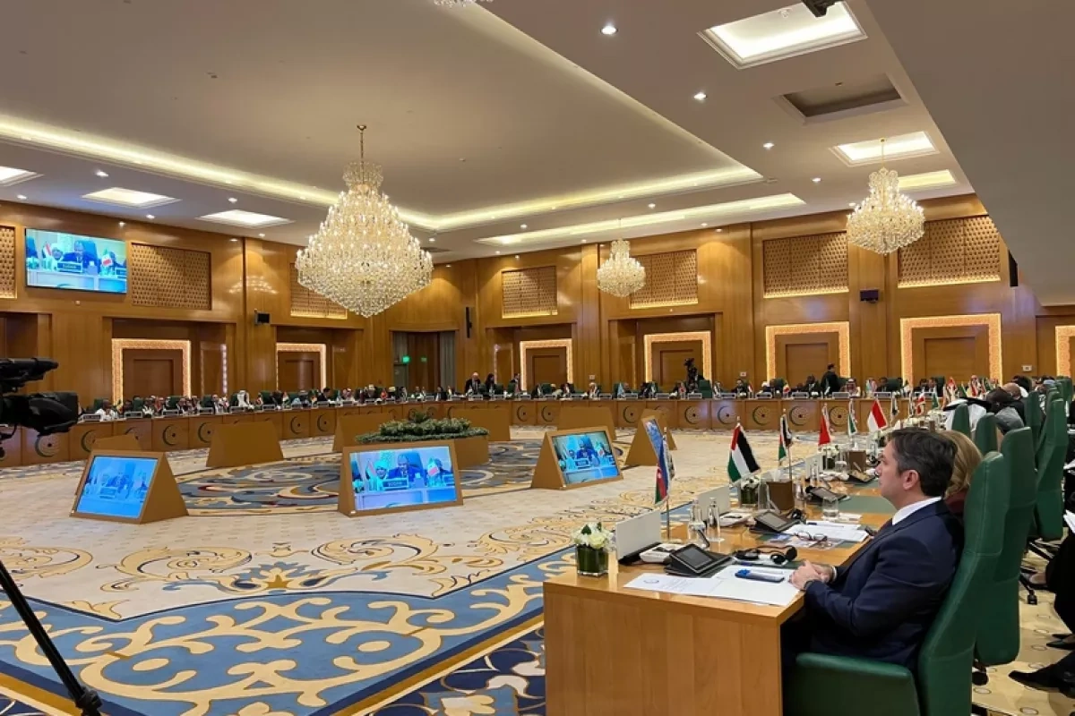 Azerbaijan backs Somalia's territorial integrity at OIC meeting