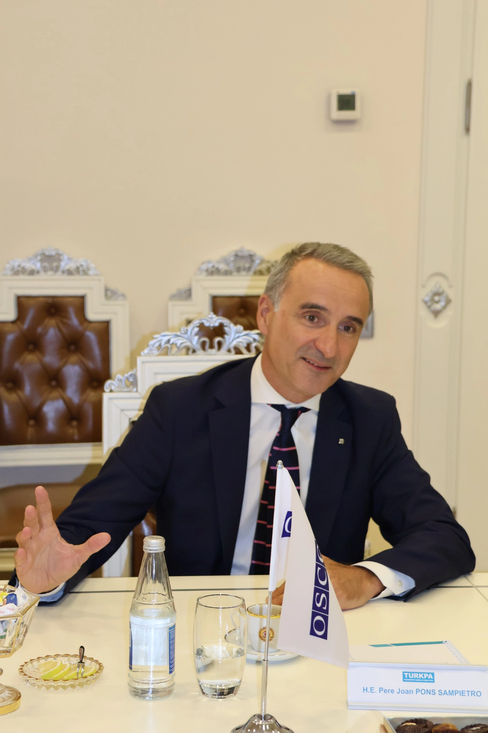 TURKPA Secretary General meets with OSCE PA President (PHOTO)