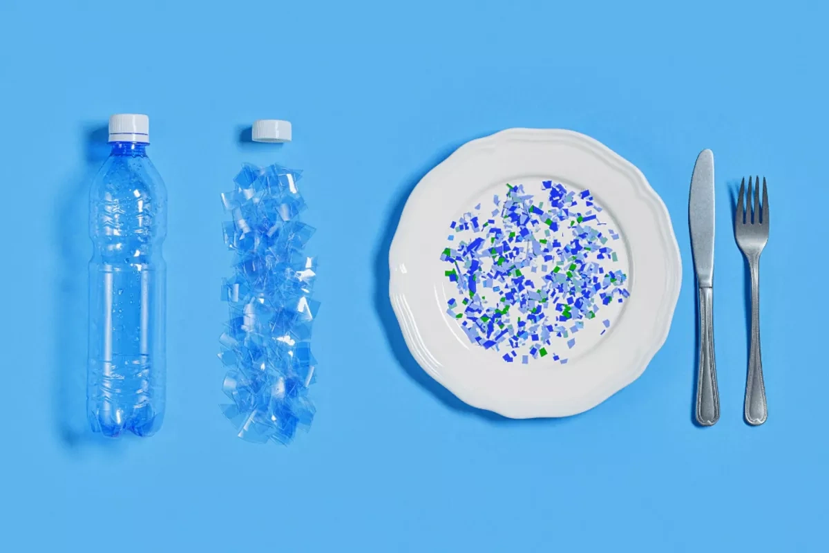 How microplastics invade our homes, and how to reduce exposure