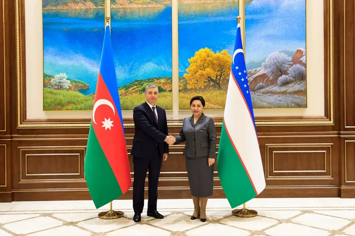 Azerbaijan-Uzbekistan pledge to strengthen parliamentary, audit cooperation