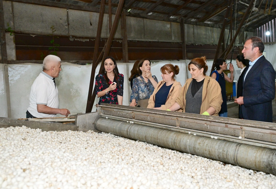 Heydar Aliyev Foundation VP Leyla Aliyeva visits Azeripek OJSC (PHOTO)