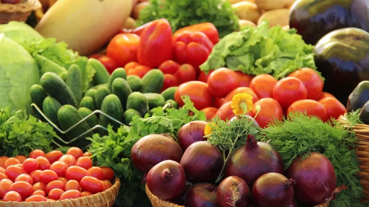 Azerbaijan’s agroparks: billion-dollar investments, but what’s the return? Caliber.Az review