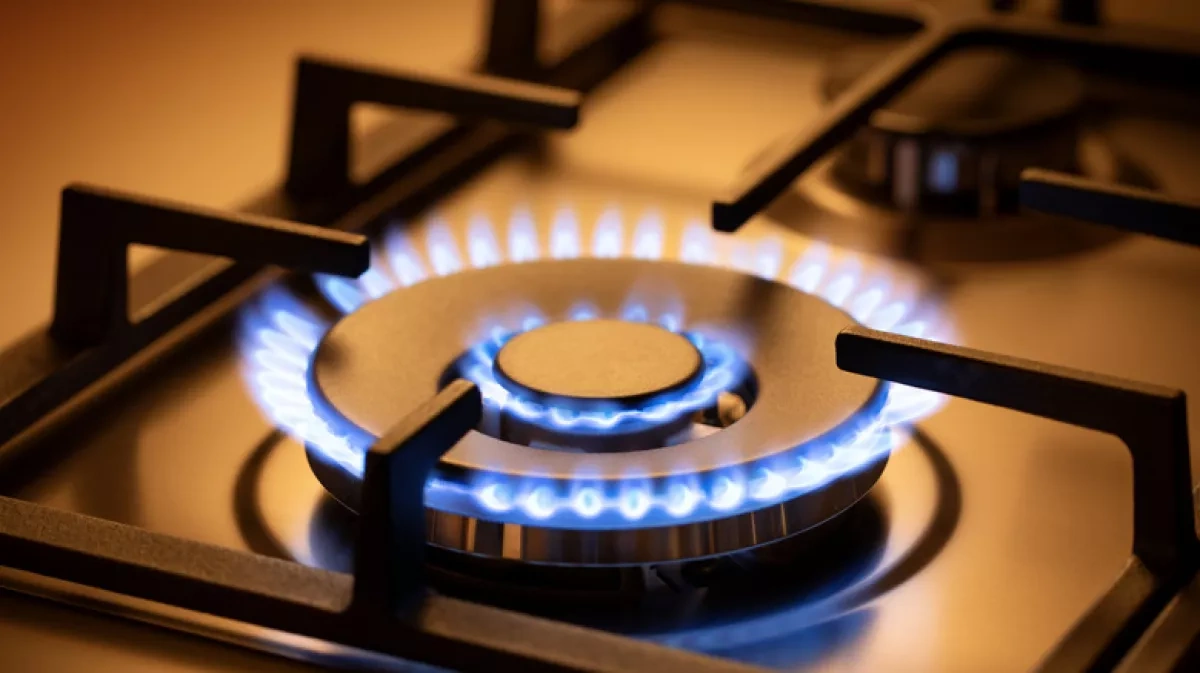 Armenia to keep Russian gas supplies, official says