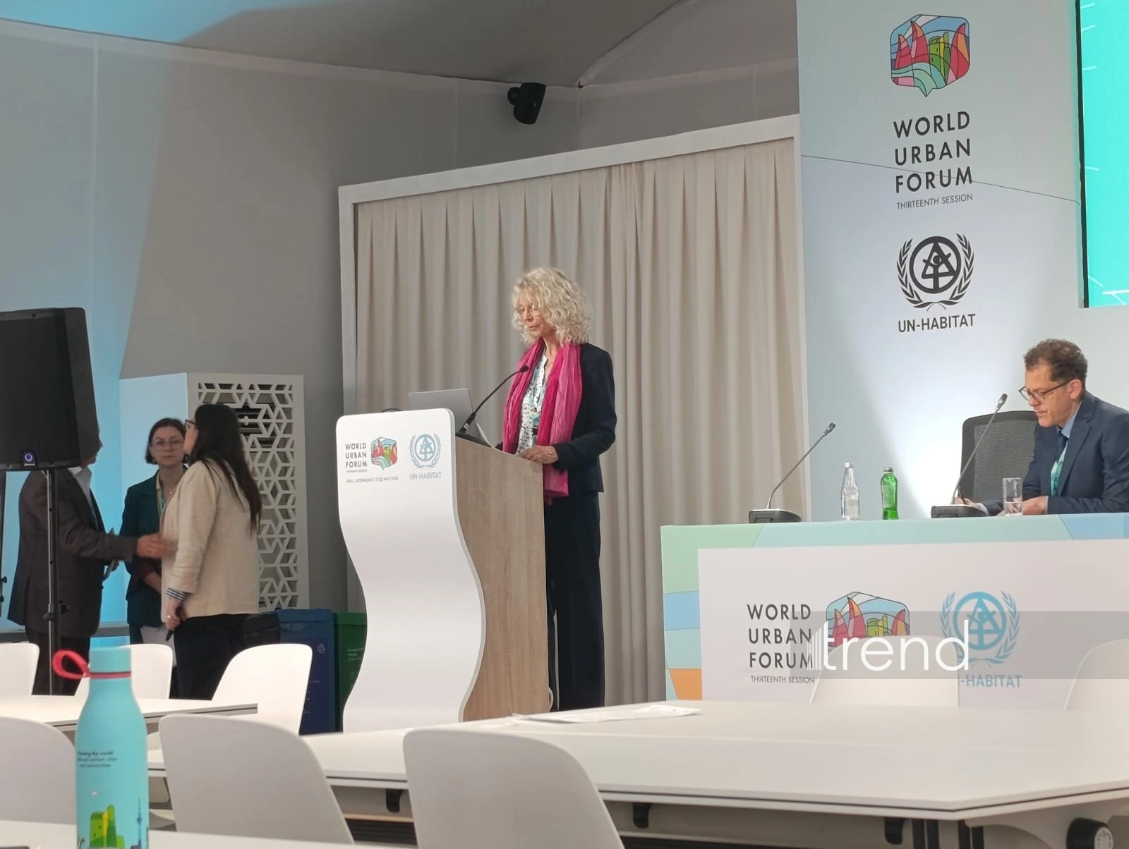 Without institutional capacity, recovery remains fragmented - German expert