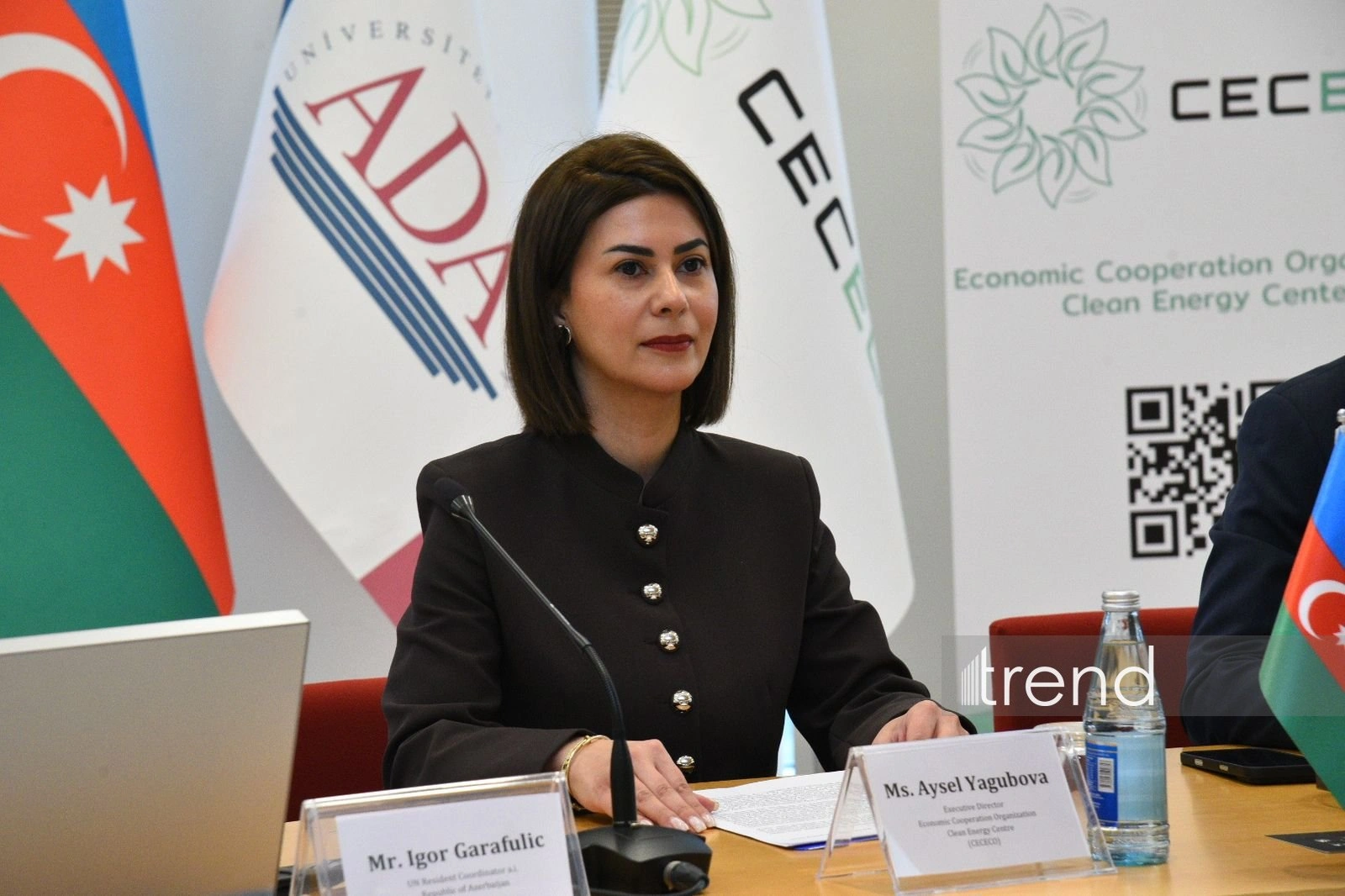 Azerbaijan's Baku hosts event on International Clean Energy Day (PHOTO)