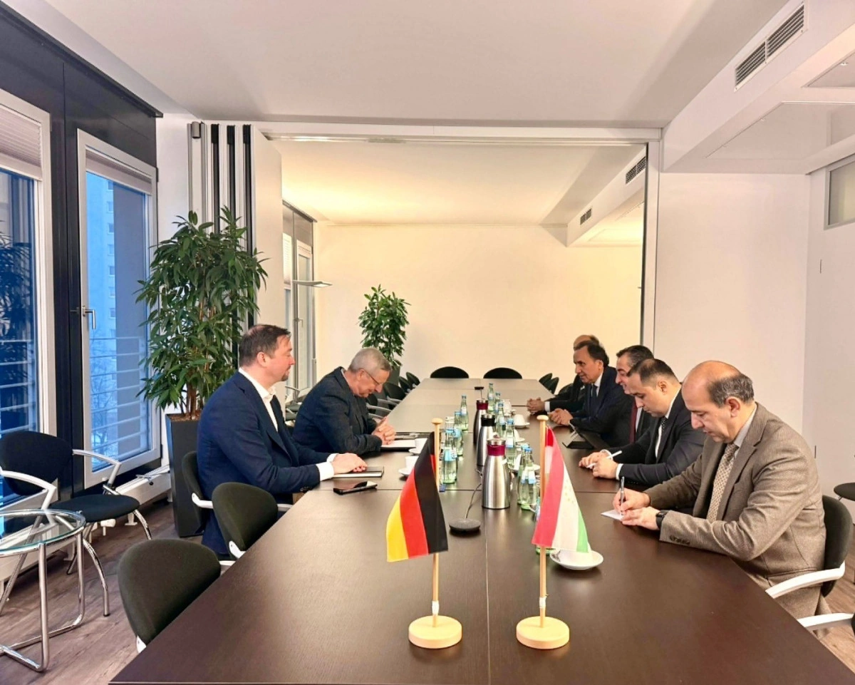 Tajikistan and Germany discuss roadmap for growing co-op in key areas