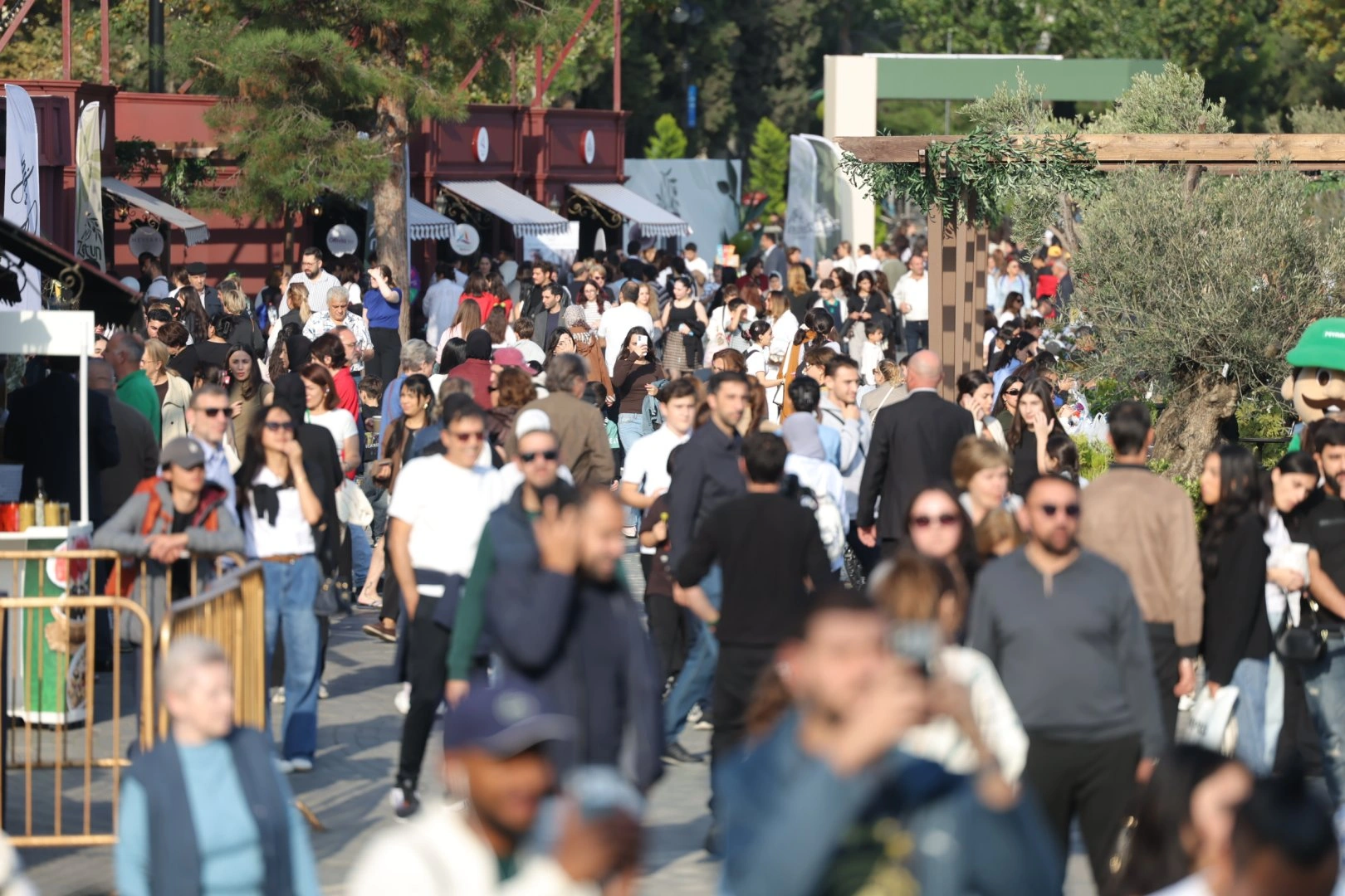 Olive Festival continues in Baku with rich musical program (PHOTO)