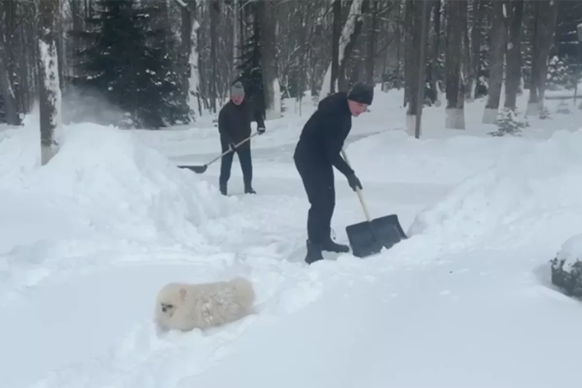 Belarusian president joins snow-clearing effort VIDEO