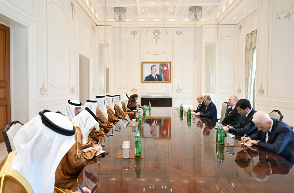 President Ilham Aliyev receives delegation from United Arab Emirates (PHOTO)