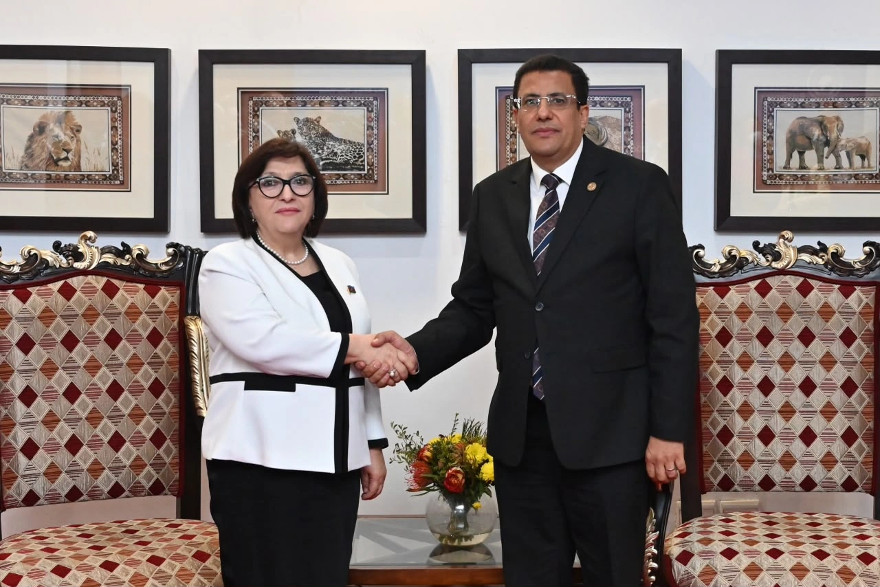 Azerbaijan's Parliament Speaker meets President of Pan-African Parliament (PHOTO)