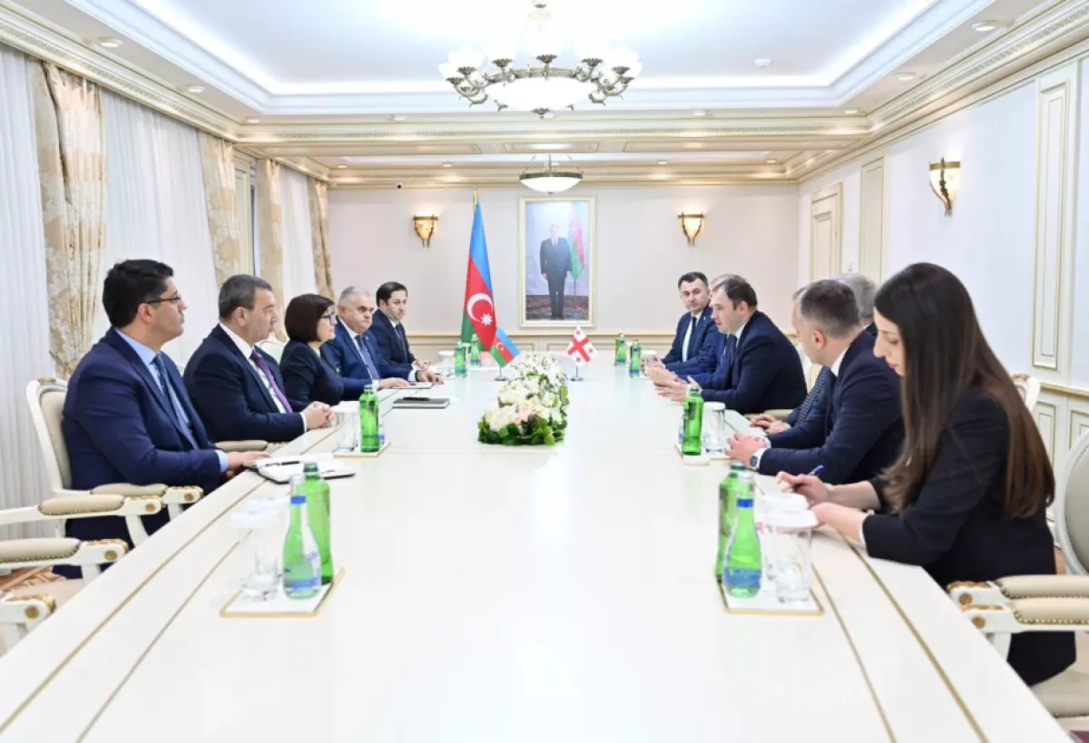 Azerbaijani, Georgian parliamentarians highlight peace, stability in Baku talks