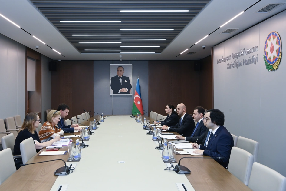Azerbaijan, UNESCO discuss prospects for developing cooperation (PHOTO)
