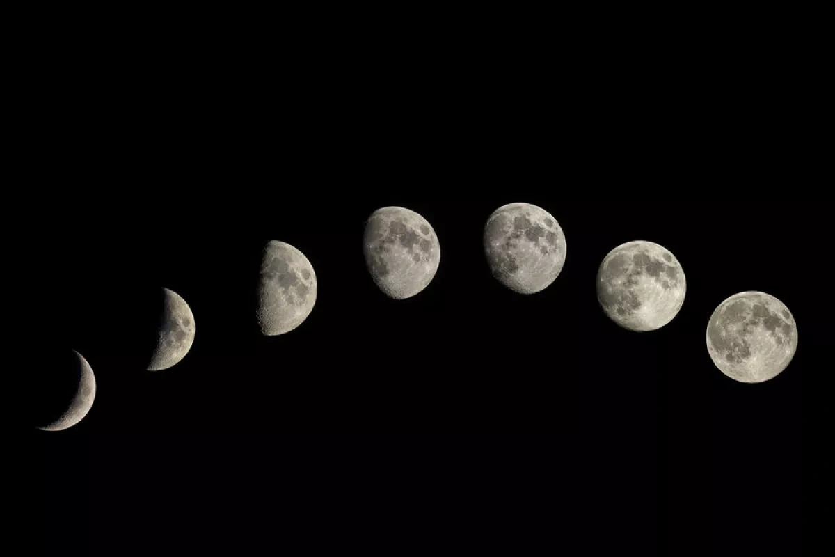 Elon Musk: "Time to go back to the Moon at scale"