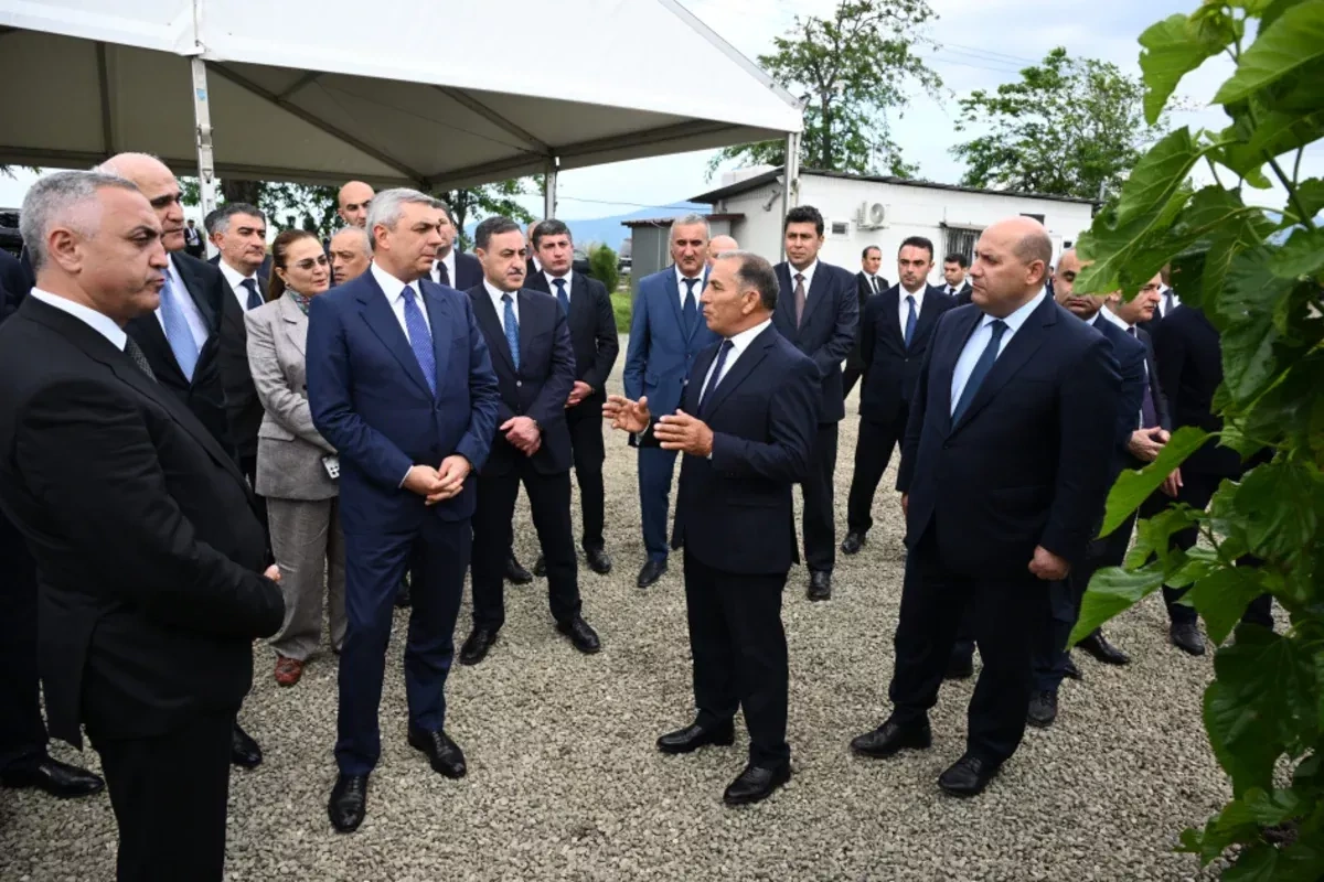 Azerbaijani officials inspect reconstruction, agro projects in Aghdara, Khojaly PHOTO