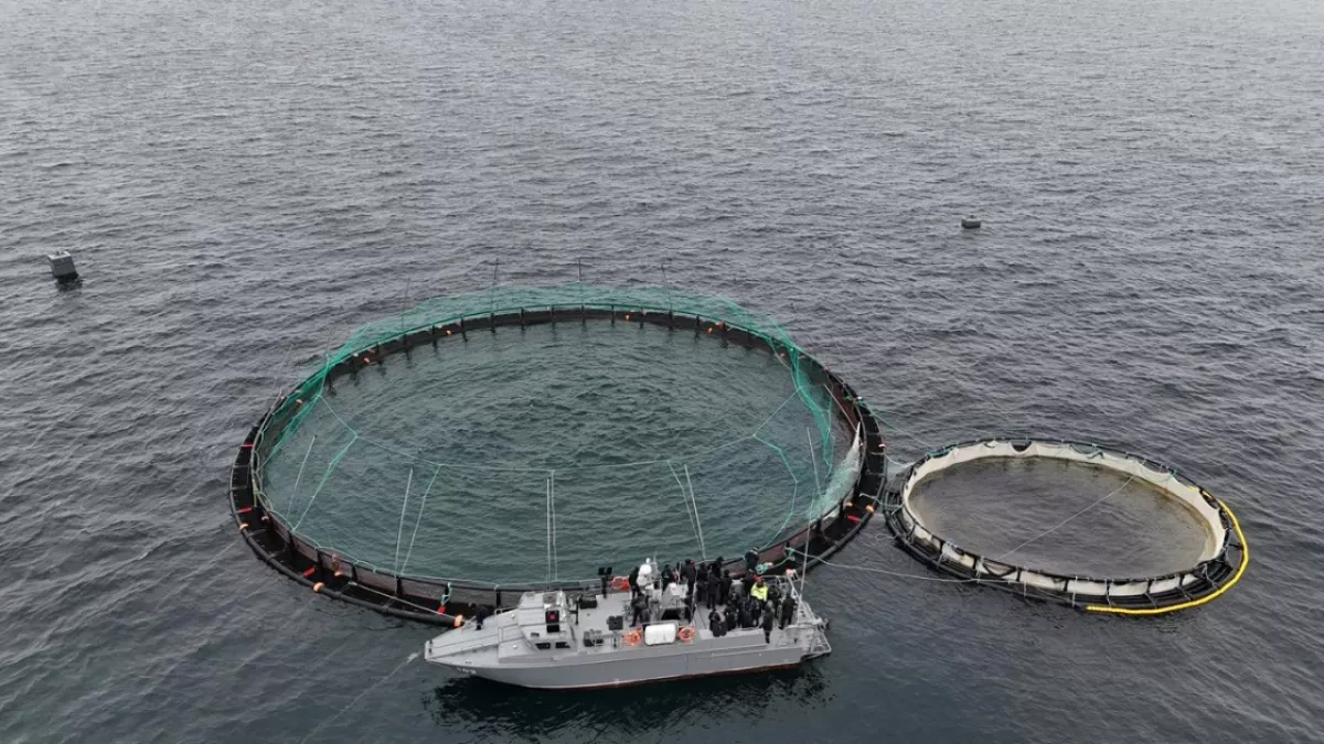 Kazakhstan launches first marine fish farm in Central Asia PHOTO