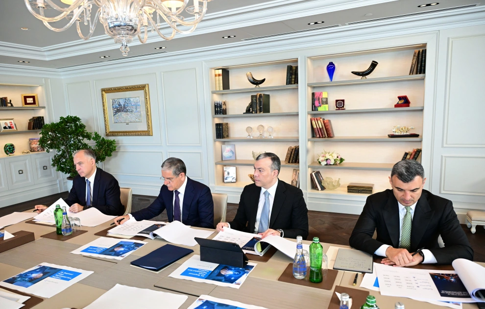 First Vice President Mehriban Aliyeva chairs first meeting of Council on Digital Development (PHOTO)