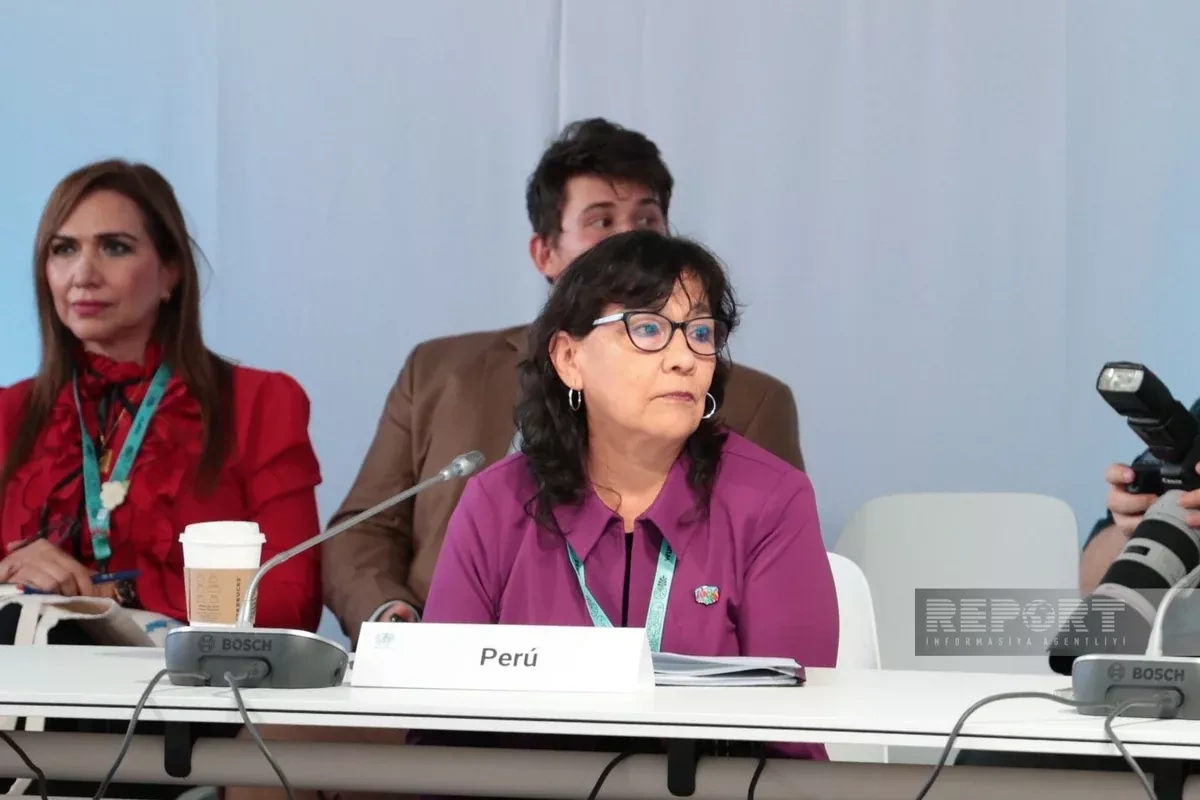 New urban agenda to shape global cities for decades, Peruvian envoy says