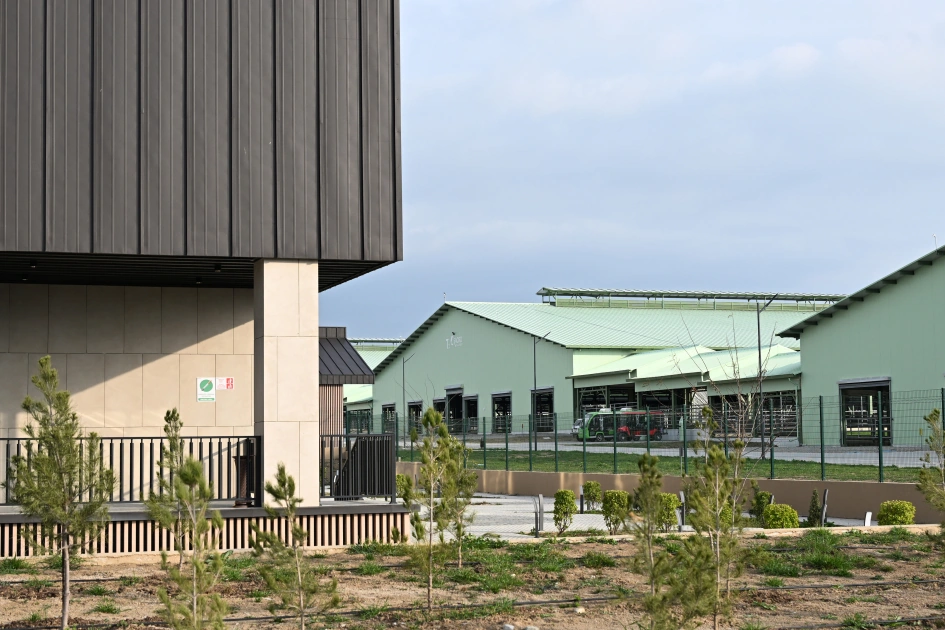 President Ilham Aliyev attends opening of Shirvan Agro livestock complex in Shamakhi (PHOTO)