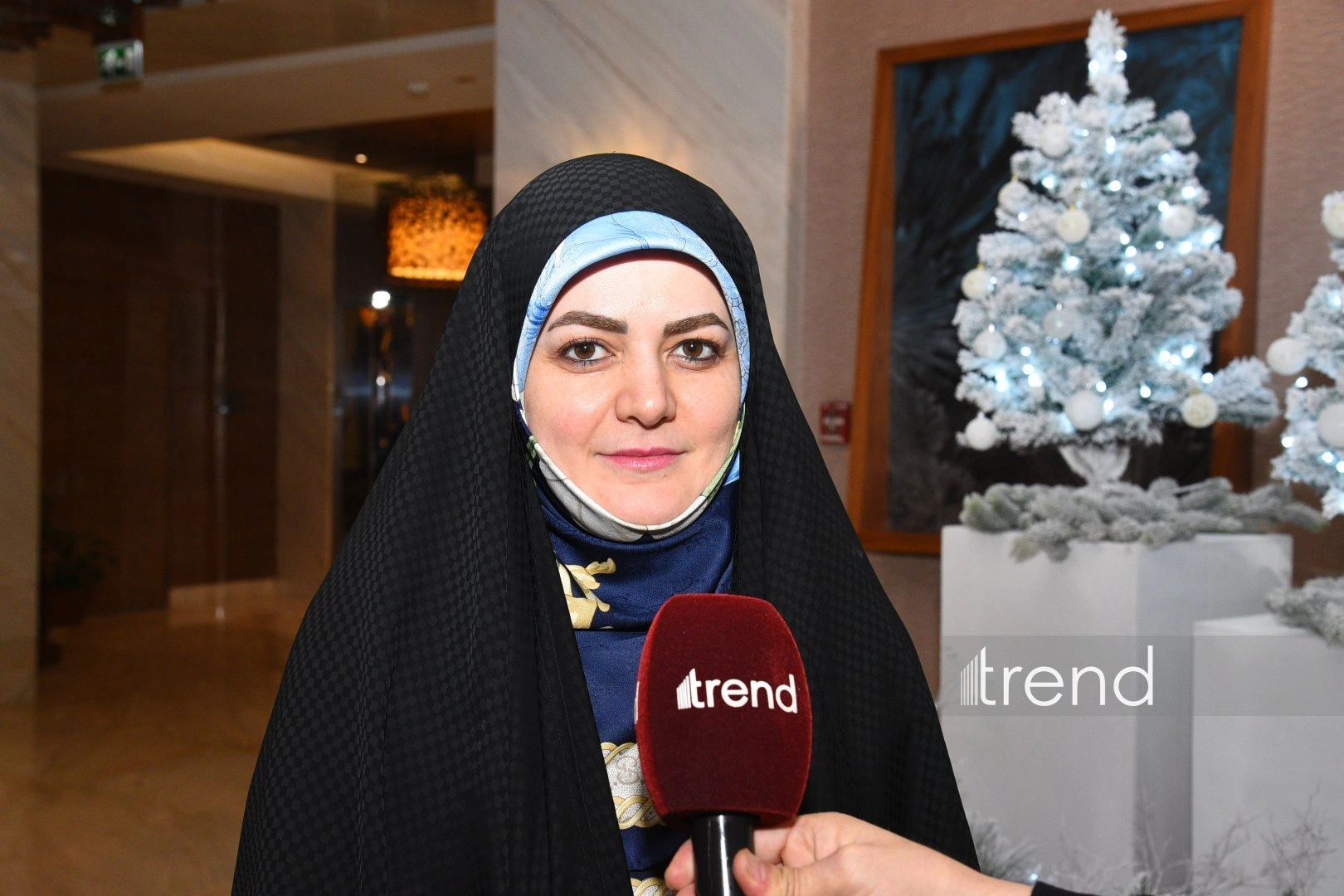 Various digital platforms able to meet Iran and Azerbaijan's interests - Zahra Pezeshkian (Interview)