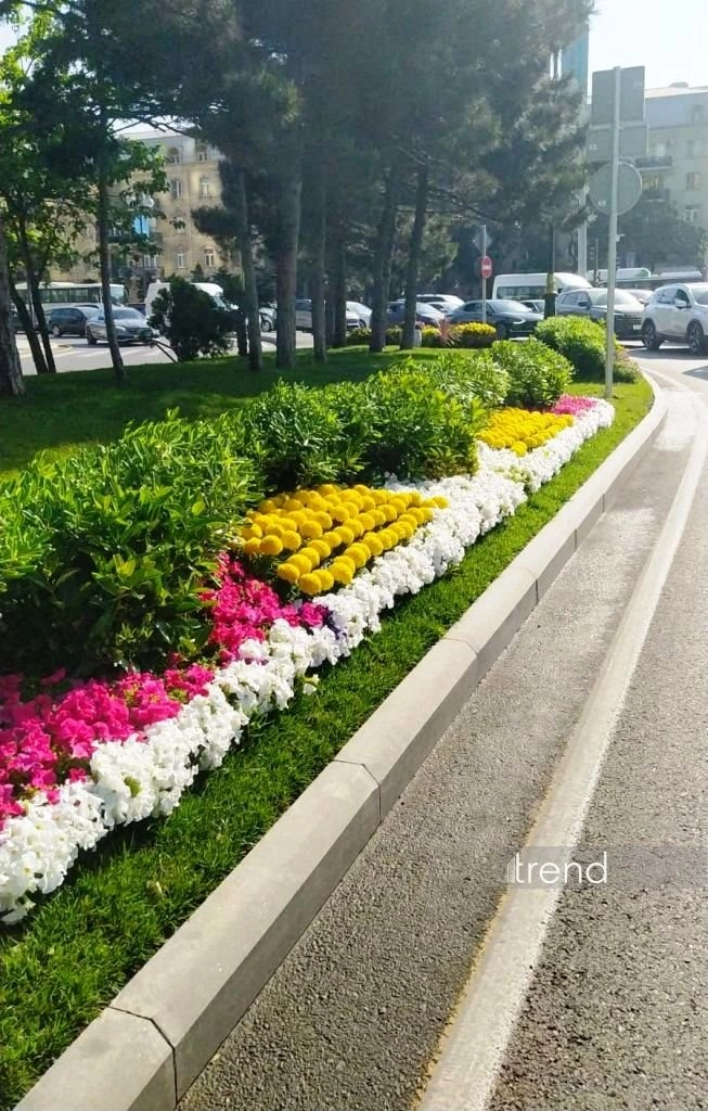 Azerbaijan's Baku blossoms with flowers ahead of WUF13 conference (PHOTO)
