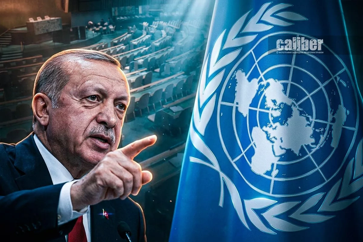 “The world is bigger than five”: Can Erdoğan rewrite the UN rules? Expert opinions on Caliber.Az