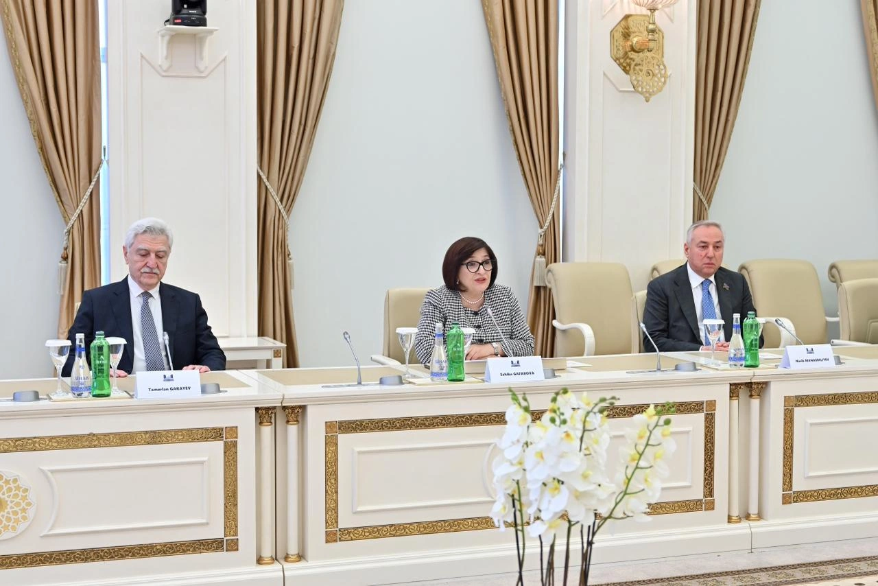 Azerbaijani and Lithuanian parliaments brainstorm enhancement of cooperation (PHOTO)