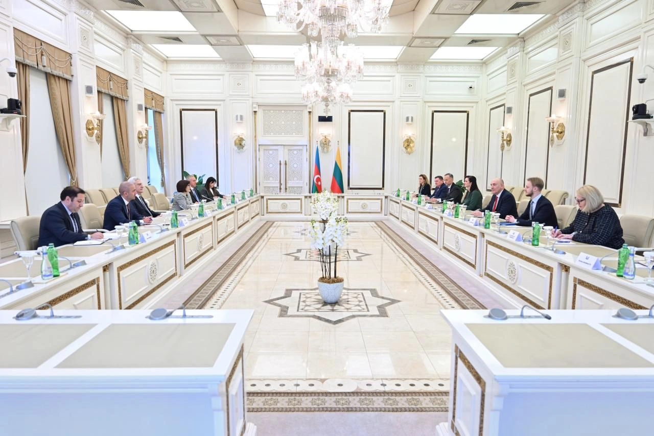 Azerbaijani and Lithuanian parliaments brainstorm enhancement of cooperation (PHOTO)