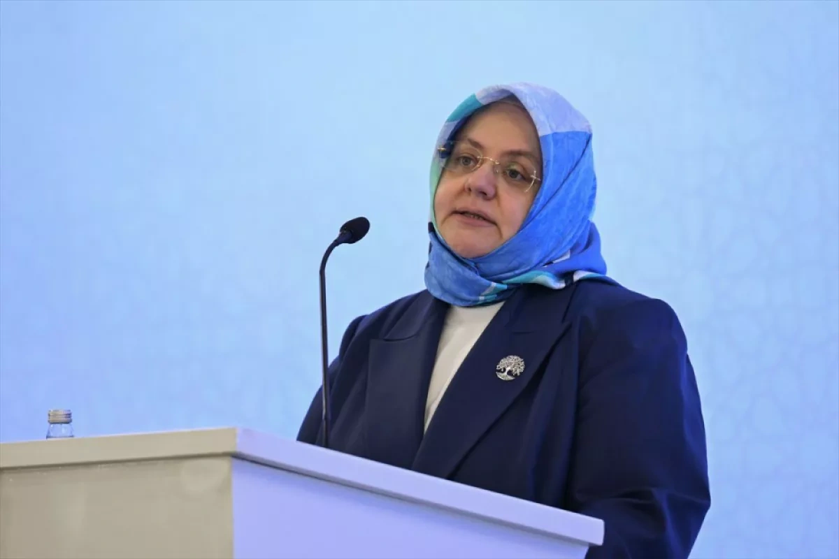 SESRIC chief: Azerbaijan emerges as leading OIC player on diaspora engagement