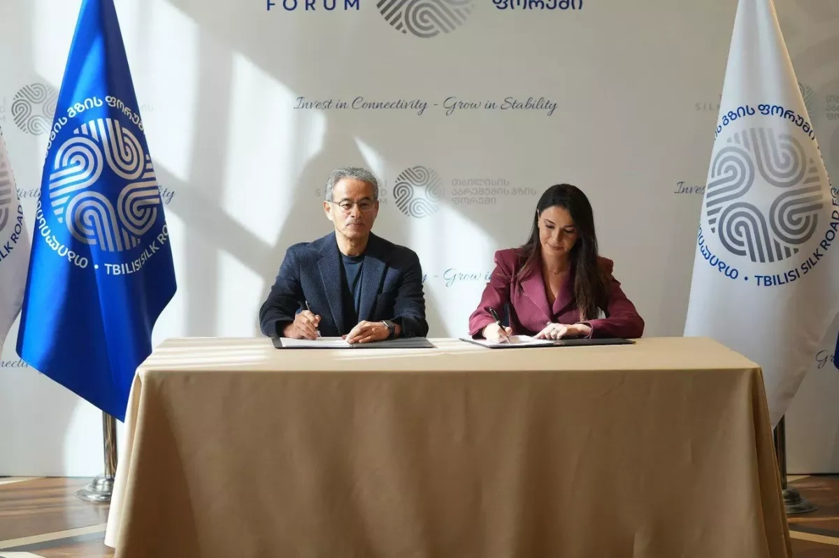 UAE invests in the Georgian economy From Dubai to Batumi