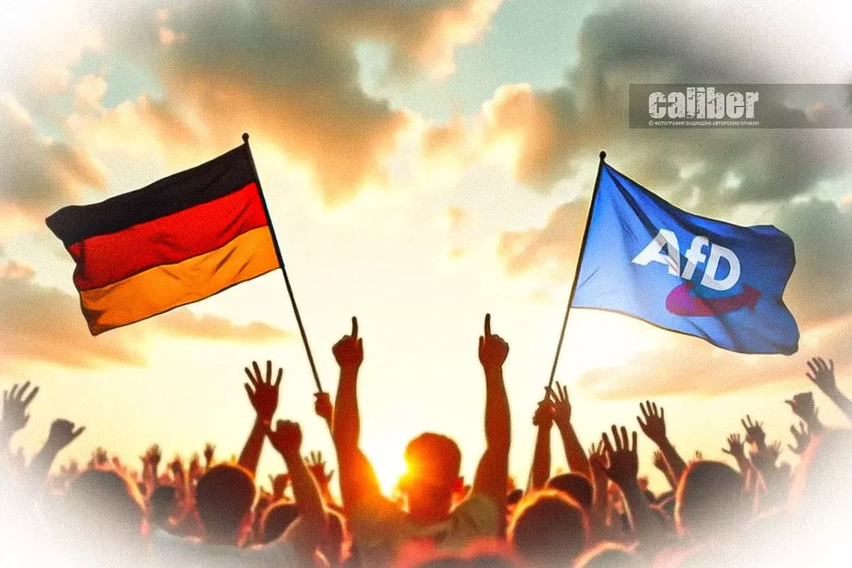 AfD moves closer to power in Germany Expert opinions on Caliber.Az
