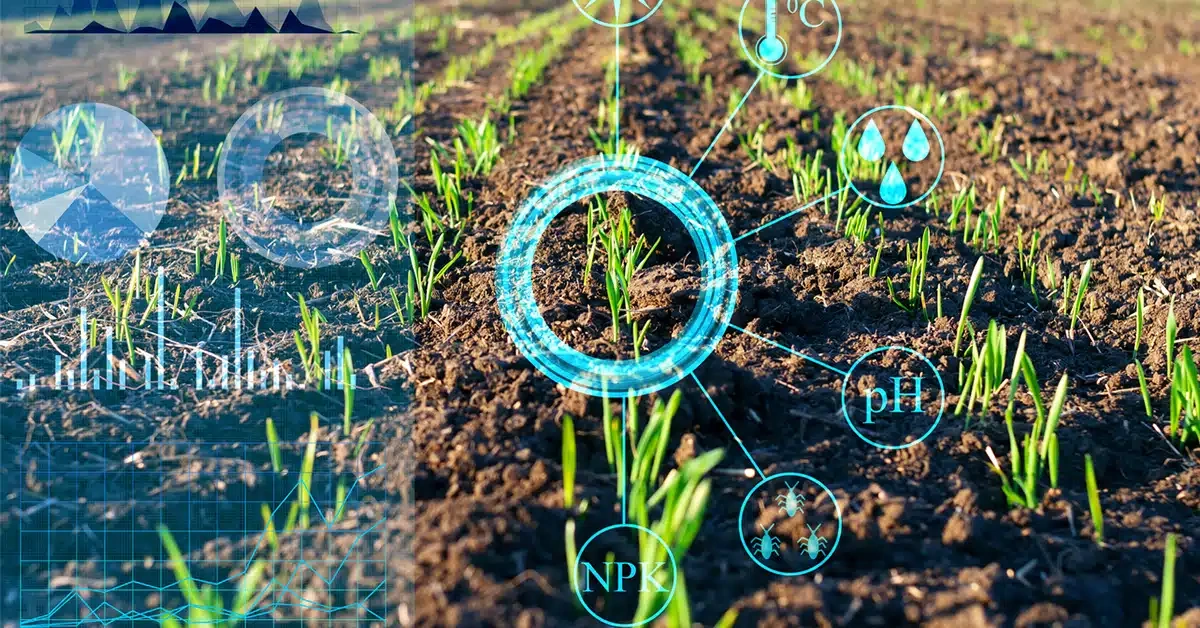Uzbekistan to launch unified food safety platform by March 2027