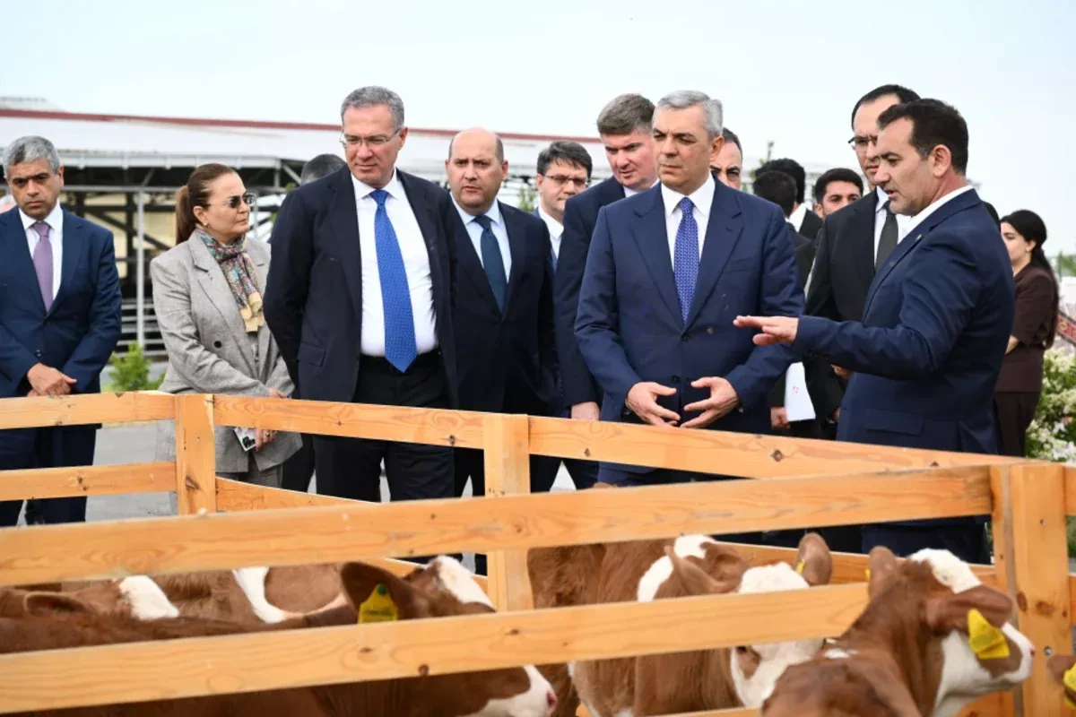 Azerbaijani officials inspect reconstruction, agro projects in Aghdara, Khojaly PHOTO