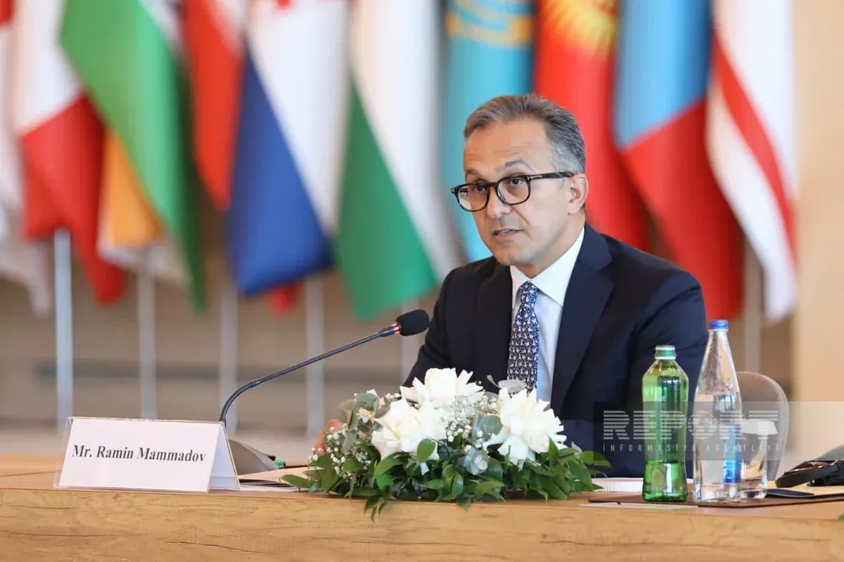 Azerbaijani official calls for coordinated OTS response to foreign influence