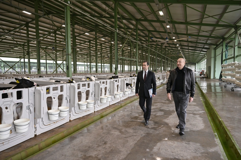 President Ilham Aliyev attends opening of Shirvan Agro livestock complex in Shamakhi (PHOTO)