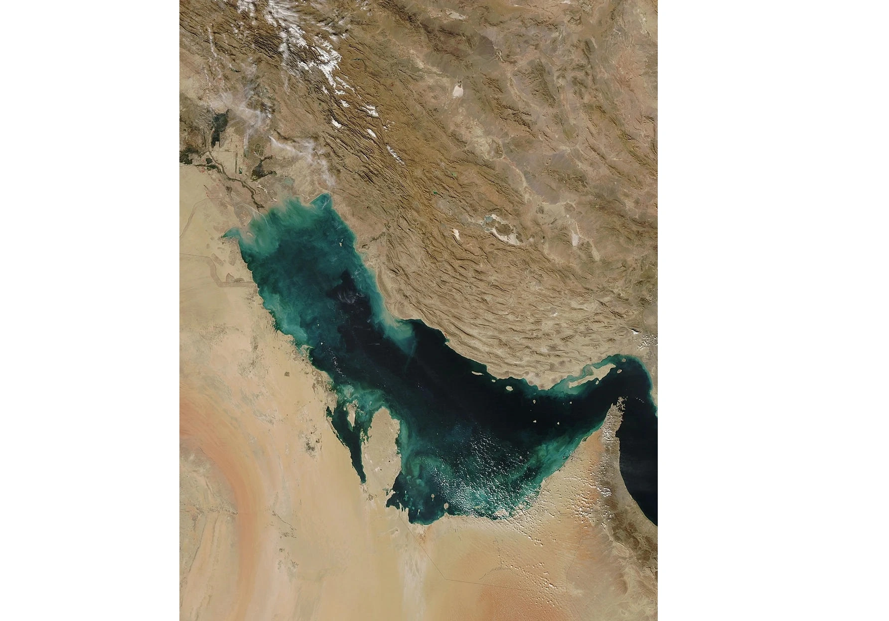 Iran warns of severe environmental damage in Persian Gulf and Gulf of Oman