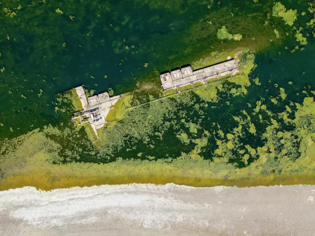 Drought reveals Nazi warships and mammoth bones in Danube