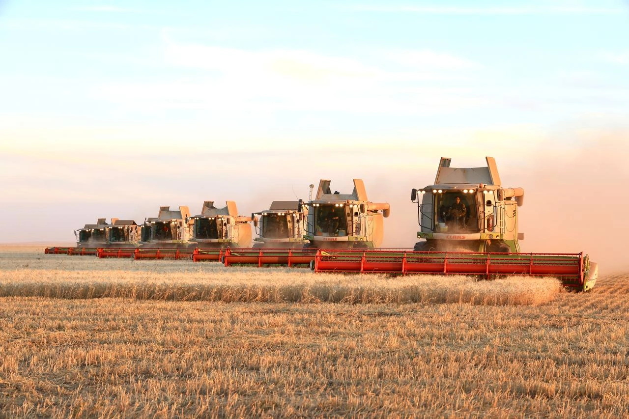 Kazakhstan's grain harvest nearly doubles year-on-year