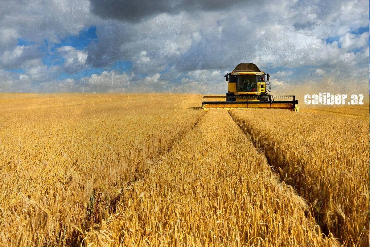 Wars, Strait of Hormuz factor, global grain crisis Analysis by Khazar Akhundov