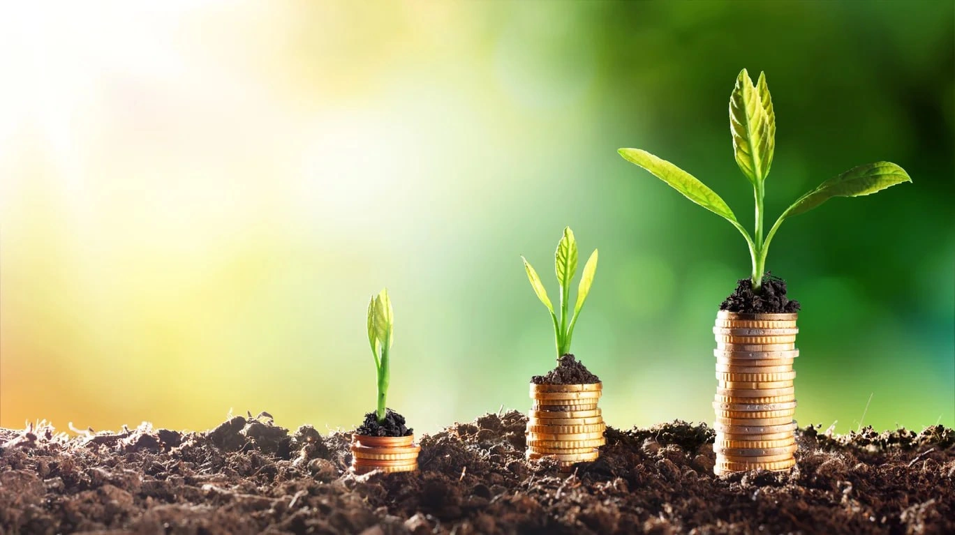 Uzbekistan’s agriculture sector sees 54% jump in foreign investment