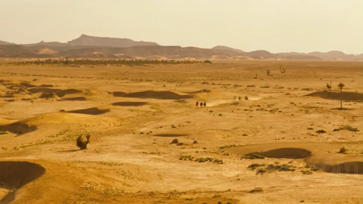 Dozens die of thirst after truck breaks down in Sahara