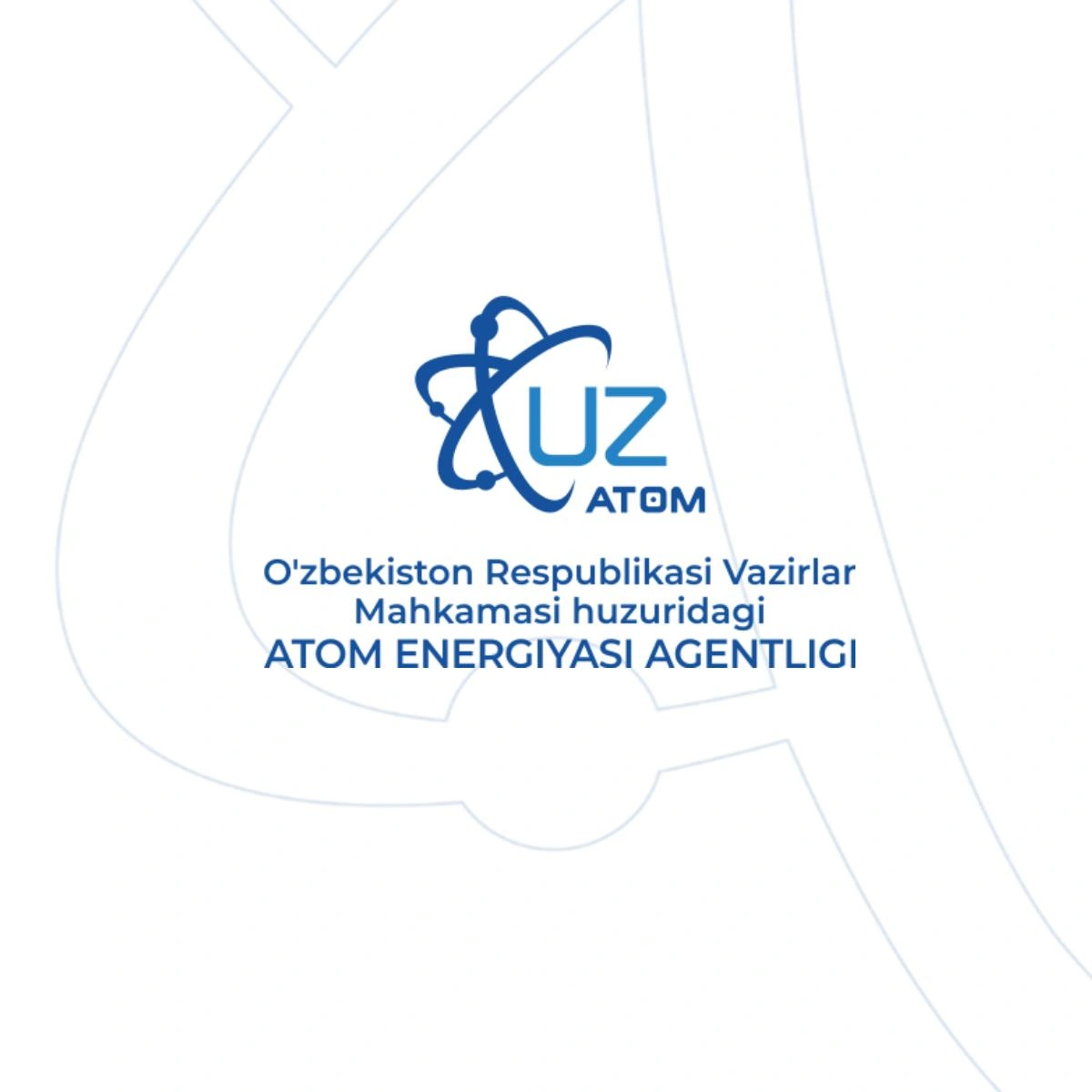 Turkish Özaltın Holding eyes role in Uzbek Uzatom nuclear plant project